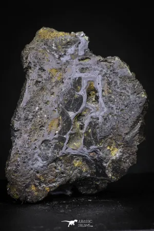 21431 - Sericho Pallasite Meteorite Polished Section 5.9g Fell in Kenya