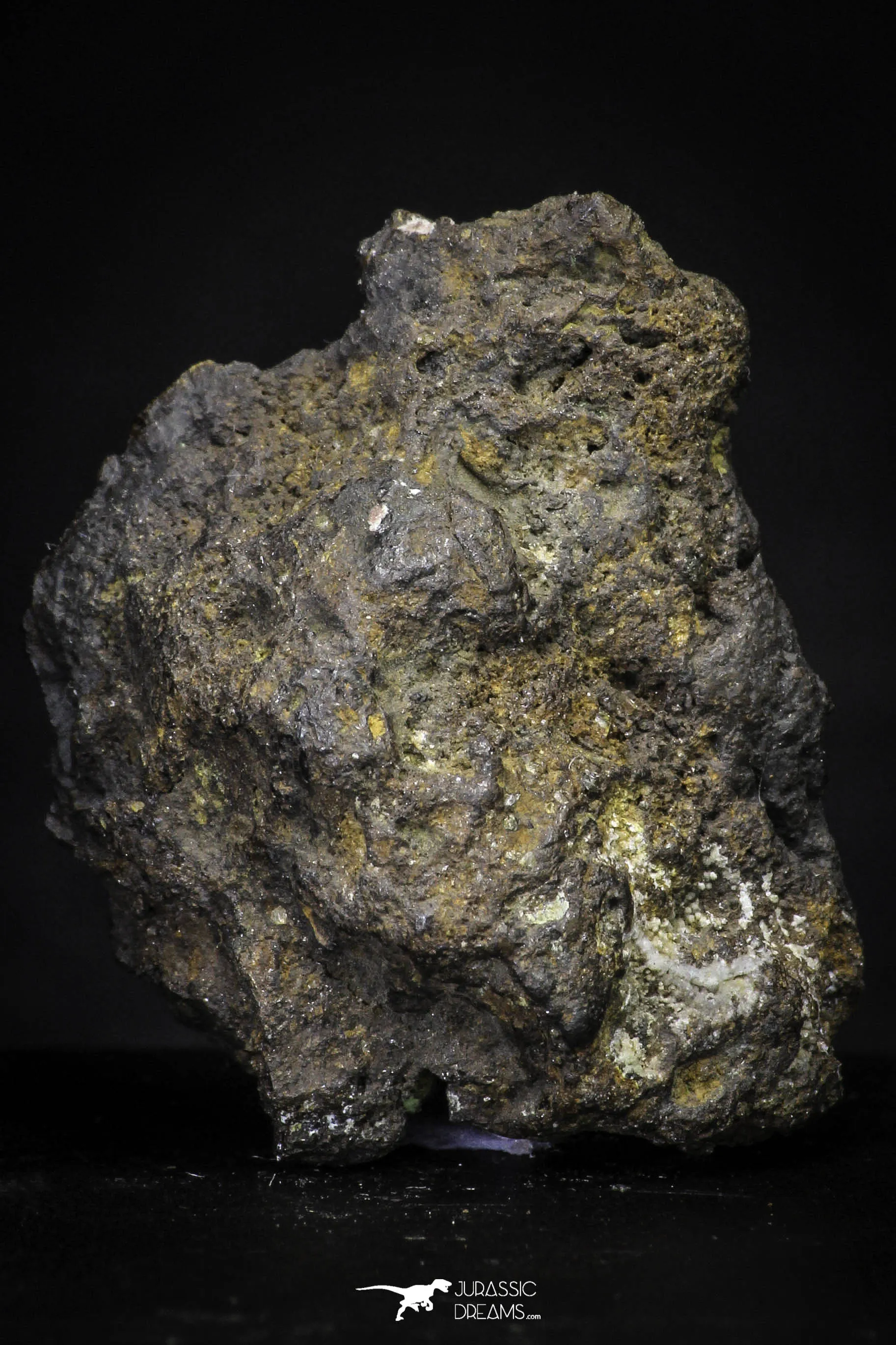 21431 - Sericho Pallasite Meteorite Polished Section 5.9g Fell in Kenya