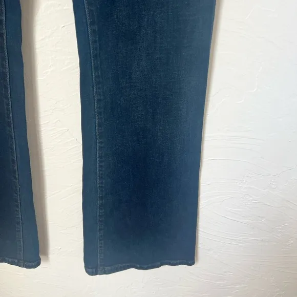 Anthropologie Pilcro The Icon Flare jeans size 28
