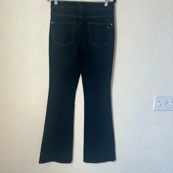 Anthropologie Pilcro The Icon Flare jeans size 28