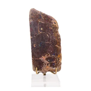 Boulder Opal 6.2 Inch 565.5 Gram Polished Crystal Slice - Australia