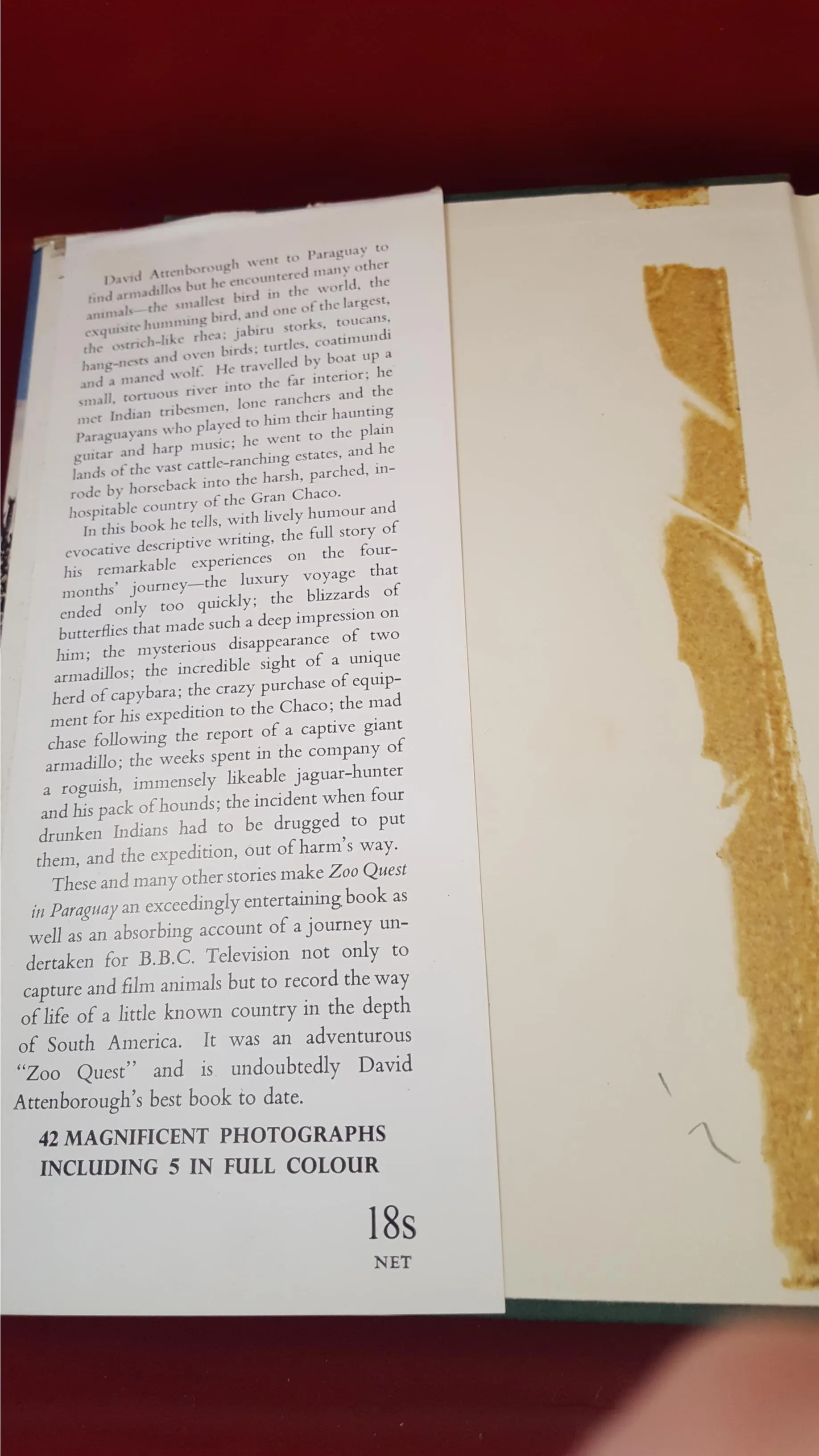 David Attenborough - Zoo Quest In Paraguay - 1959 & Quest - 1963, First Editions