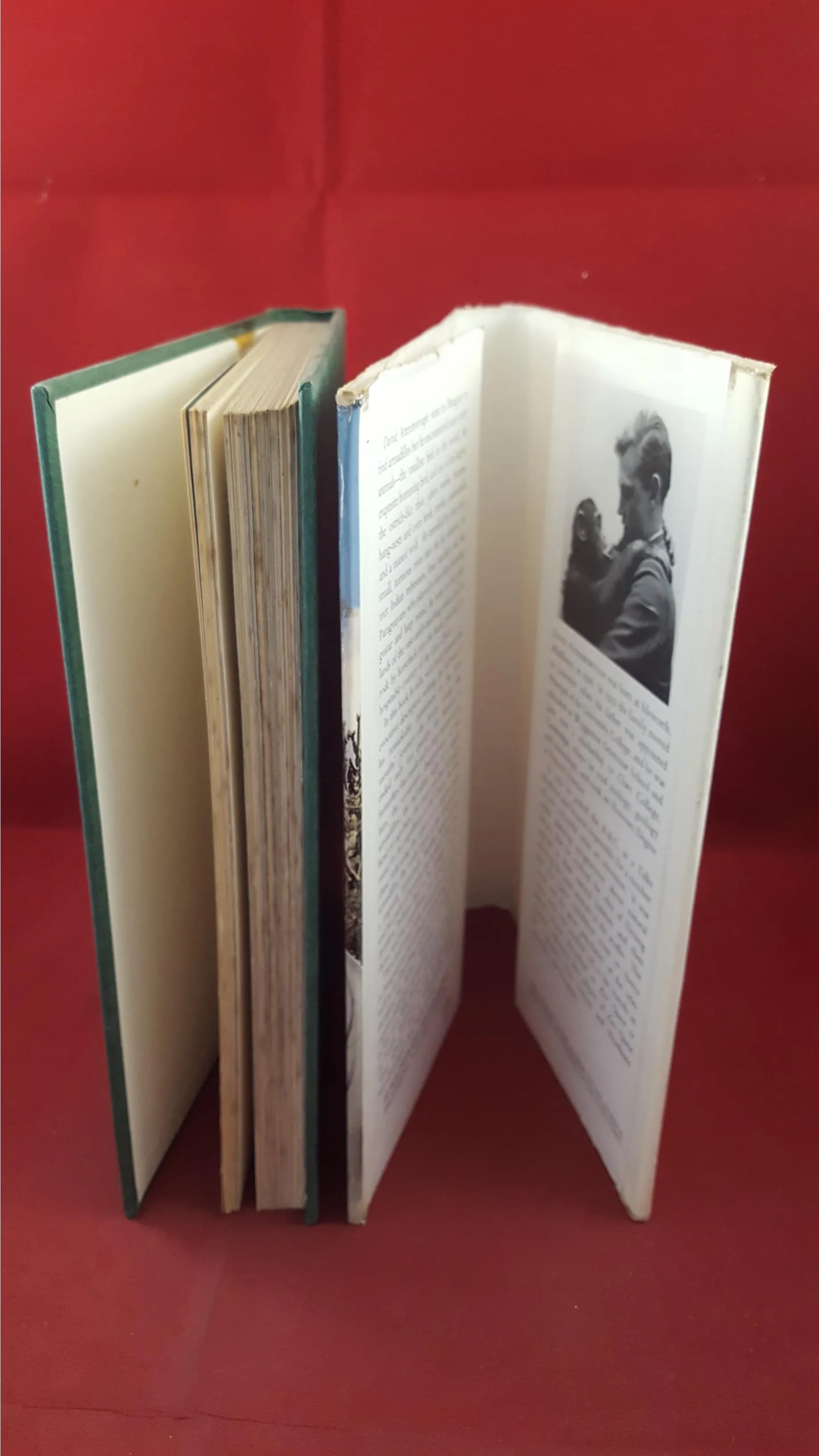 David Attenborough - Zoo Quest In Paraguay - 1959 & Quest - 1963, First Editions