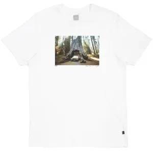 Family Acid Sequoia Garage T-Shirt White