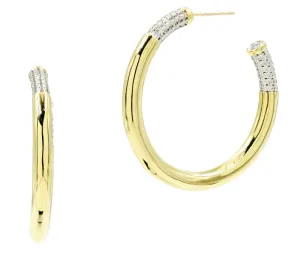 Freida Rothman Born to Shine Hoop Earring