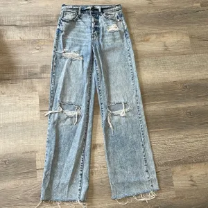 Hidden Jeans Logan distressed dad jeans