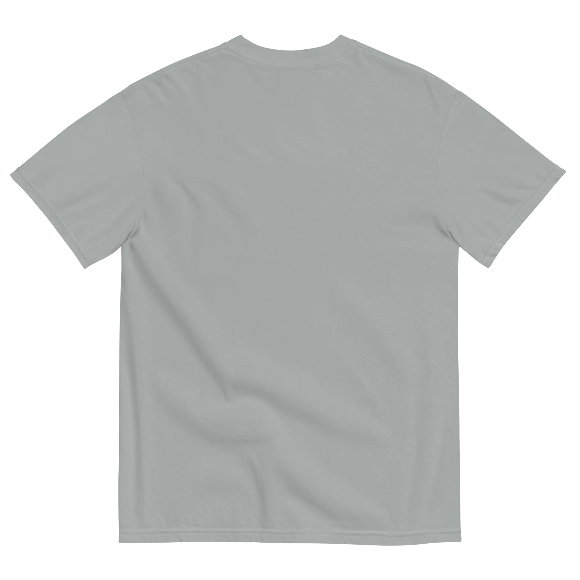 IDF tzahal Logo Men's garment-dyed heavyweight t-shirt