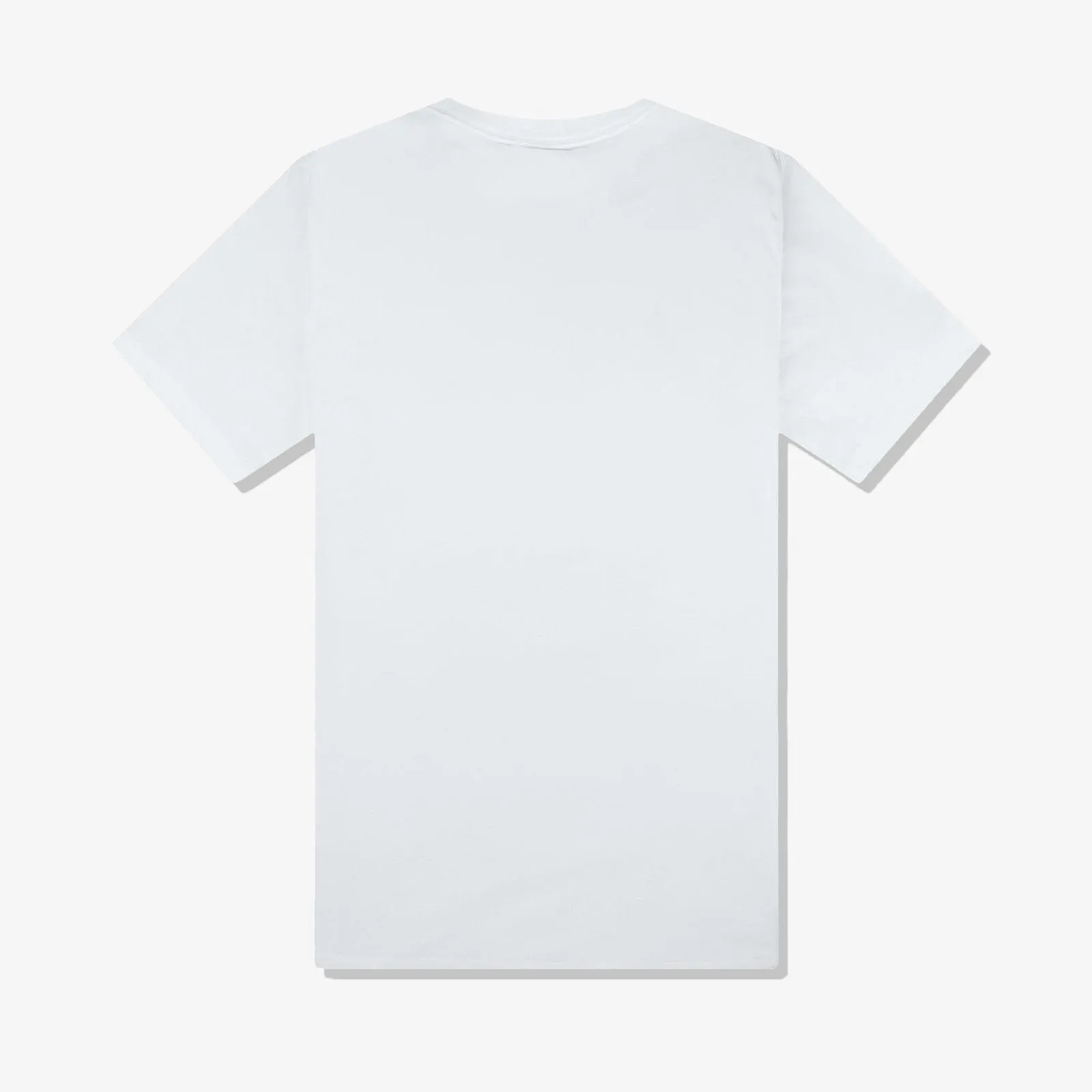 Jordan X Zion Seasonal T-Shirt - Photon Dust
