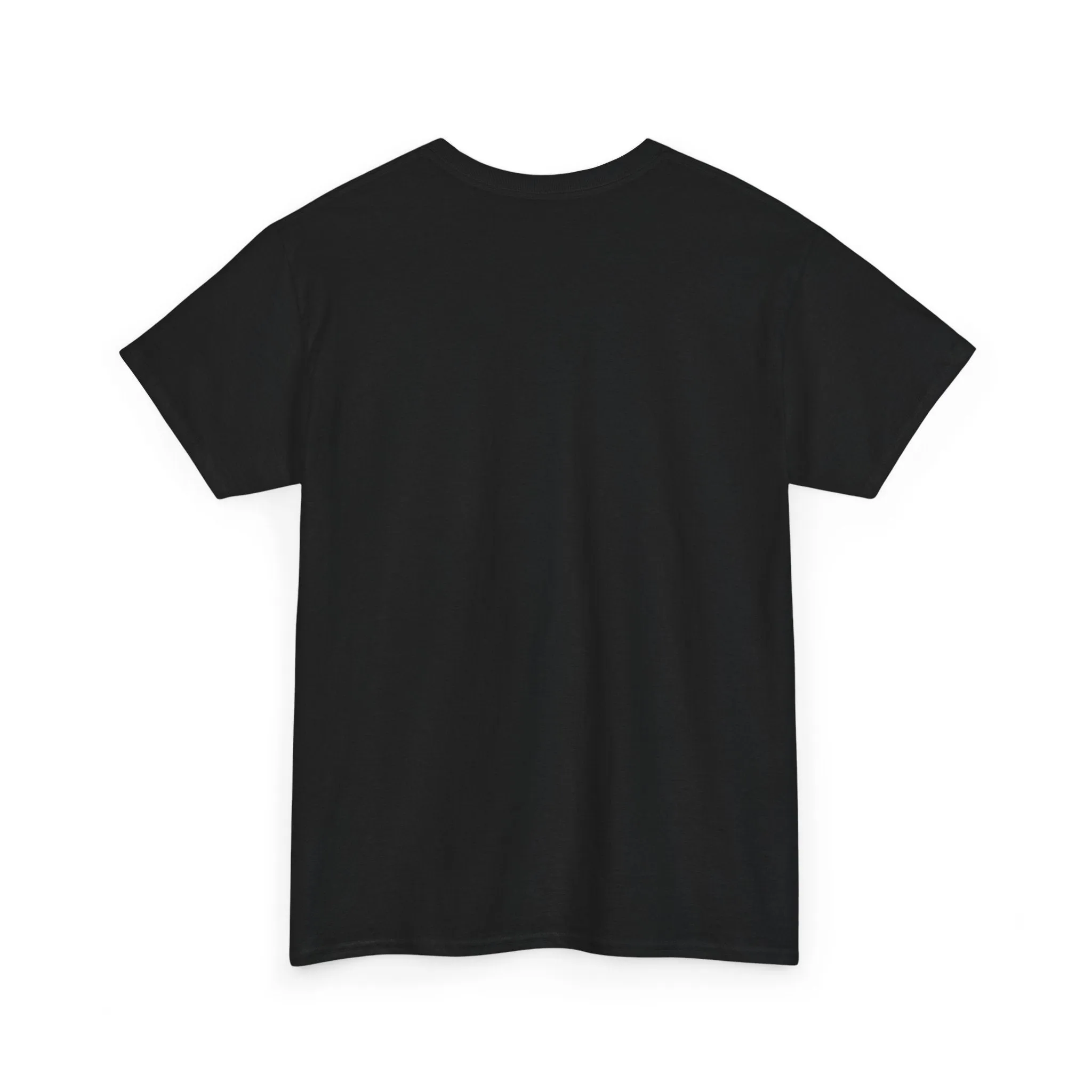 Living Life in the 99% Unisex Heavy Cotton Tee, Casual Tee, Streetwear, Gift for Activists, Everyday Wear, Graphic Tee