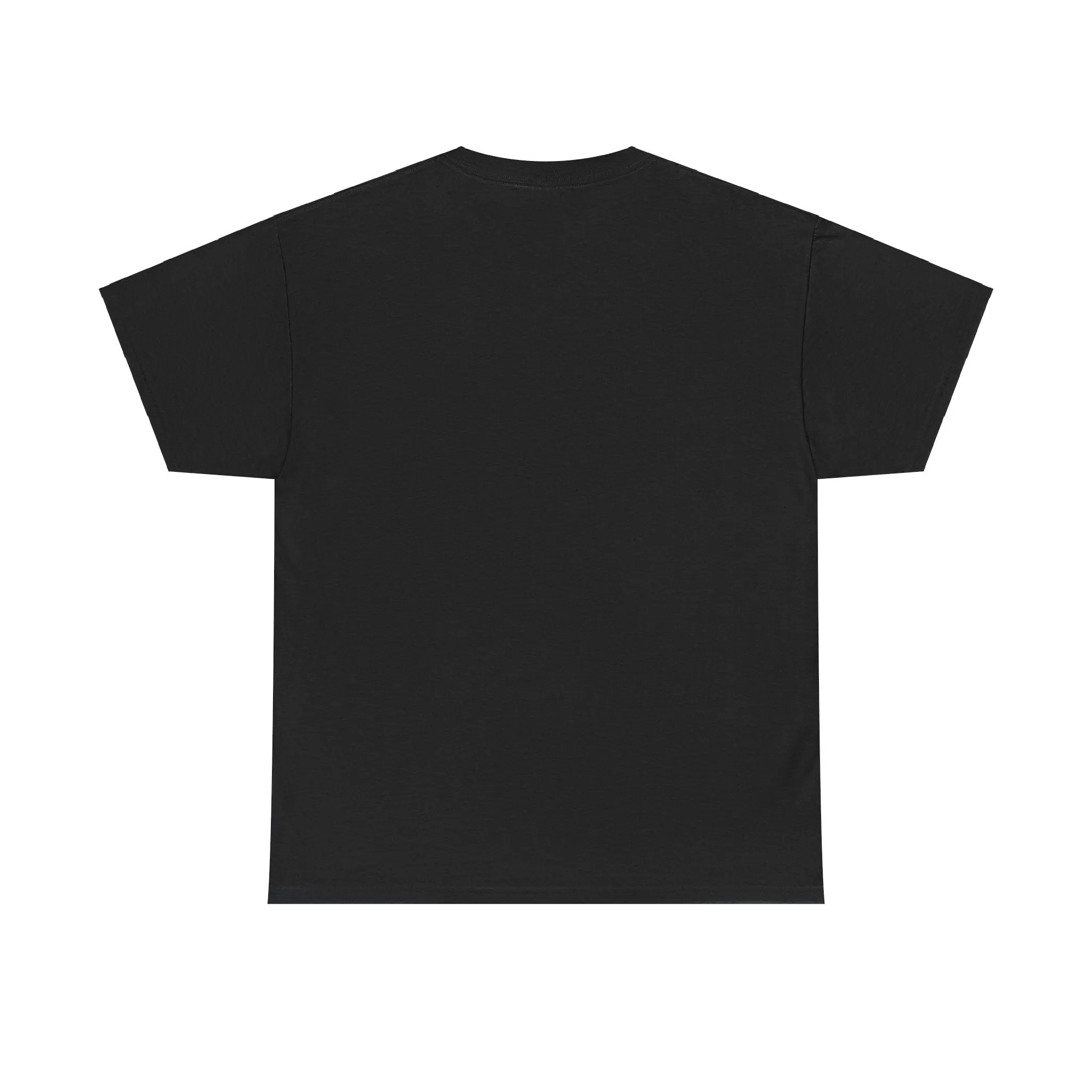 Living Life in the 99% Unisex Heavy Cotton Tee, Casual Tee, Streetwear, Gift for Activists, Everyday Wear, Graphic Tee