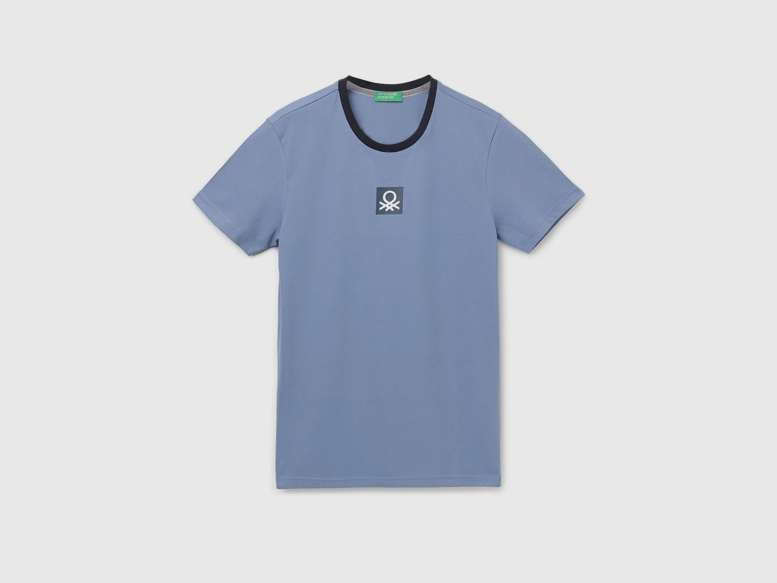 Men's Regular Fit Crew Neck Brand Logo T-Shirt