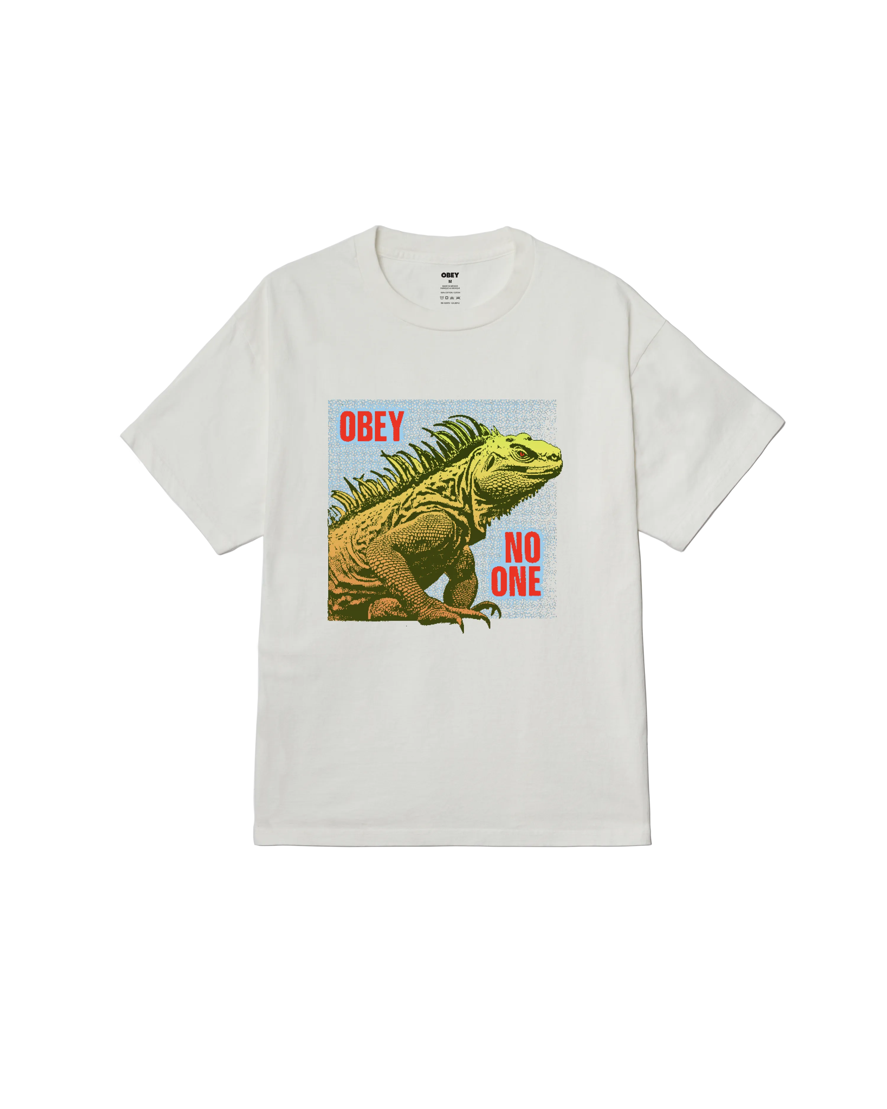 NO ONE REPTILE PIGMENT BOX T-SHIRT