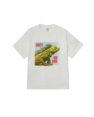 NO ONE REPTILE PIGMENT BOX T-SHIRT