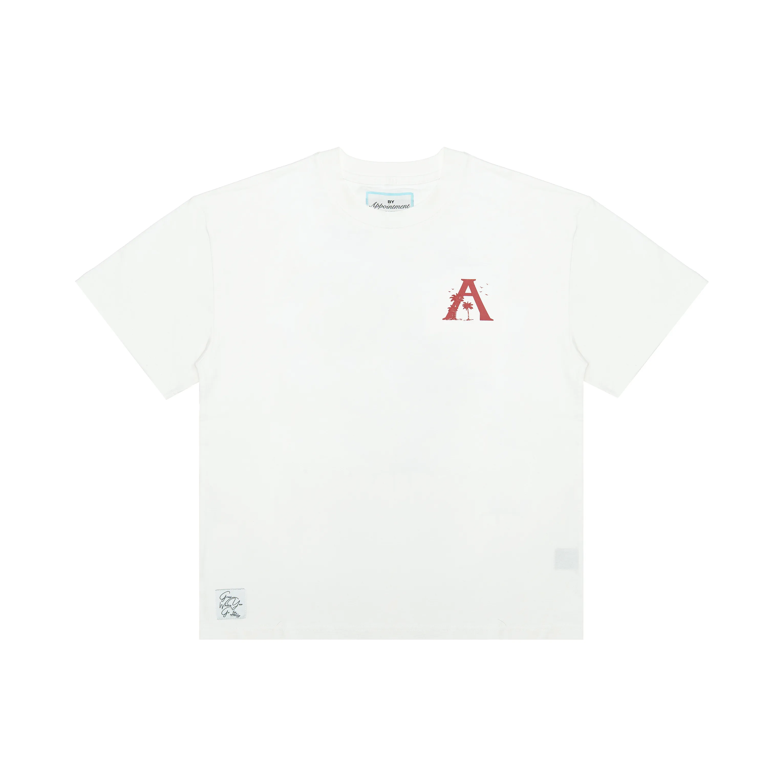 oasis | t-shirt