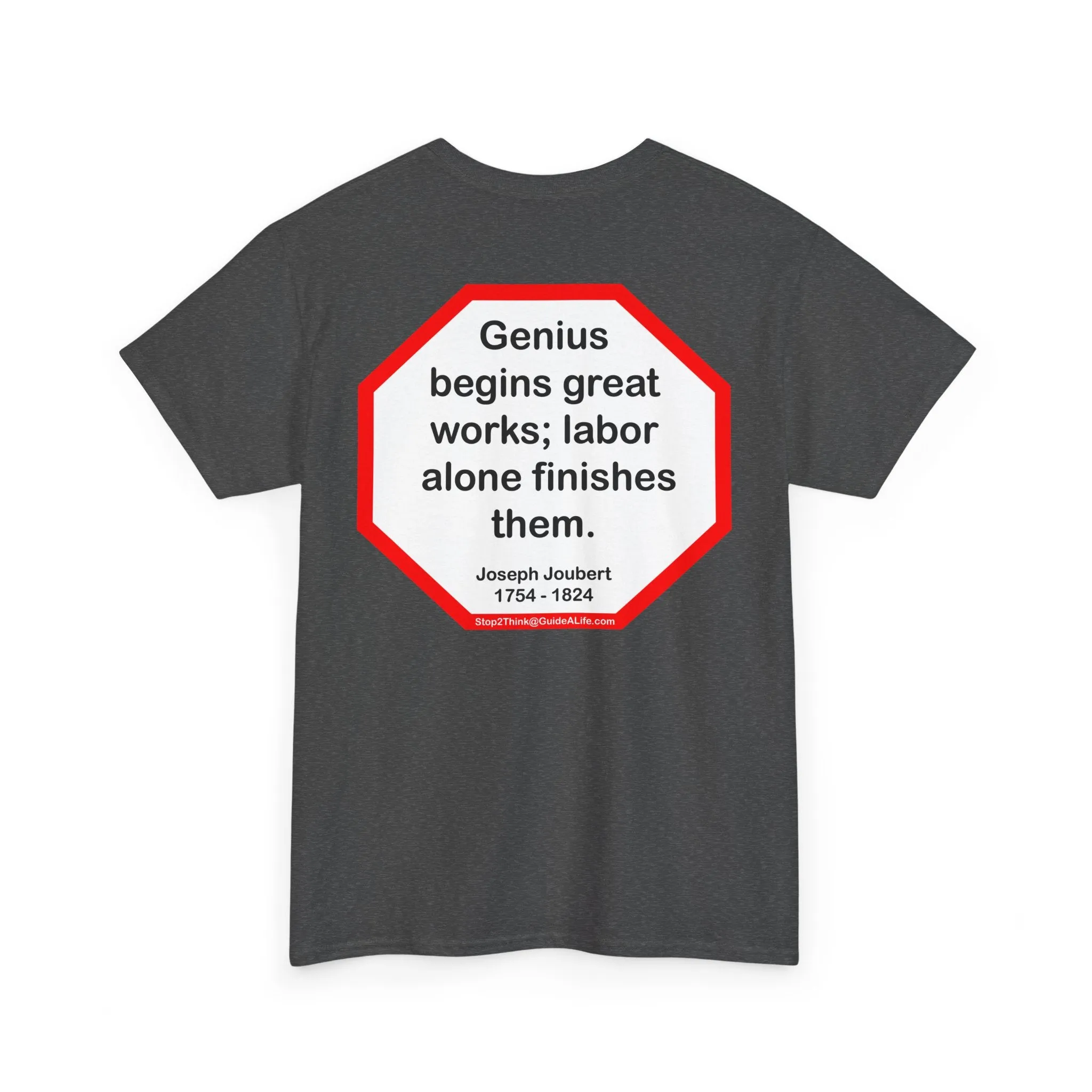 S2T- Genius begins great works; labor alone finishes them.  -   Joseph Joubert  1754 - 1824