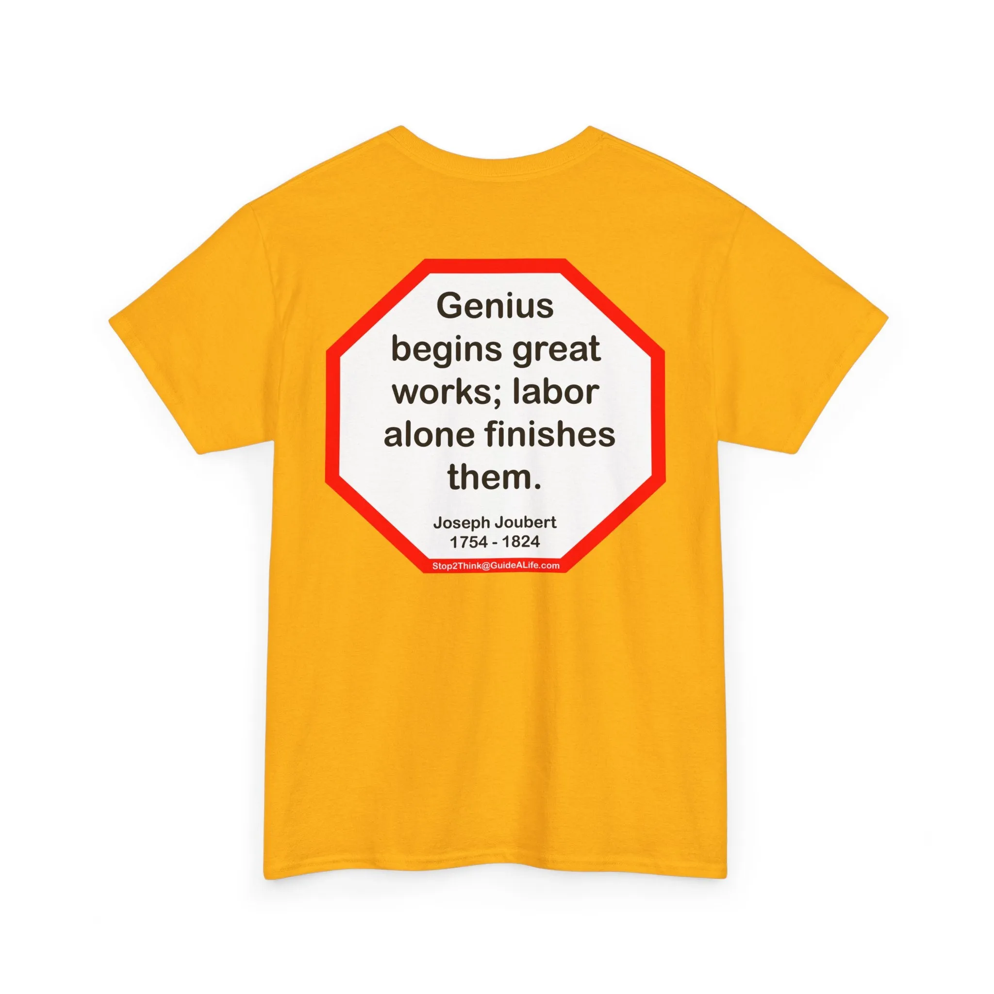 S2T- Genius begins great works; labor alone finishes them.  -   Joseph Joubert  1754 - 1824