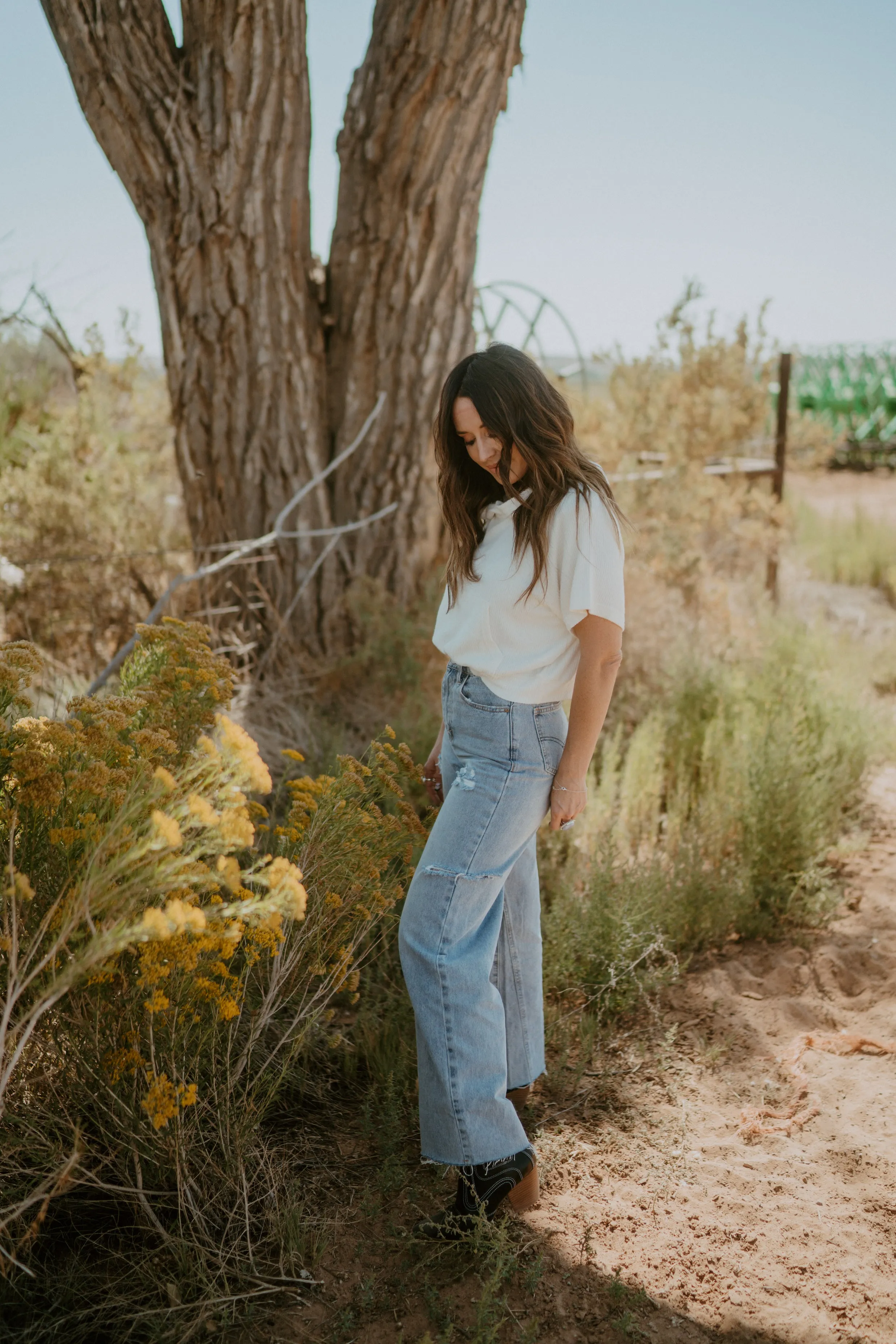Tay Jeans